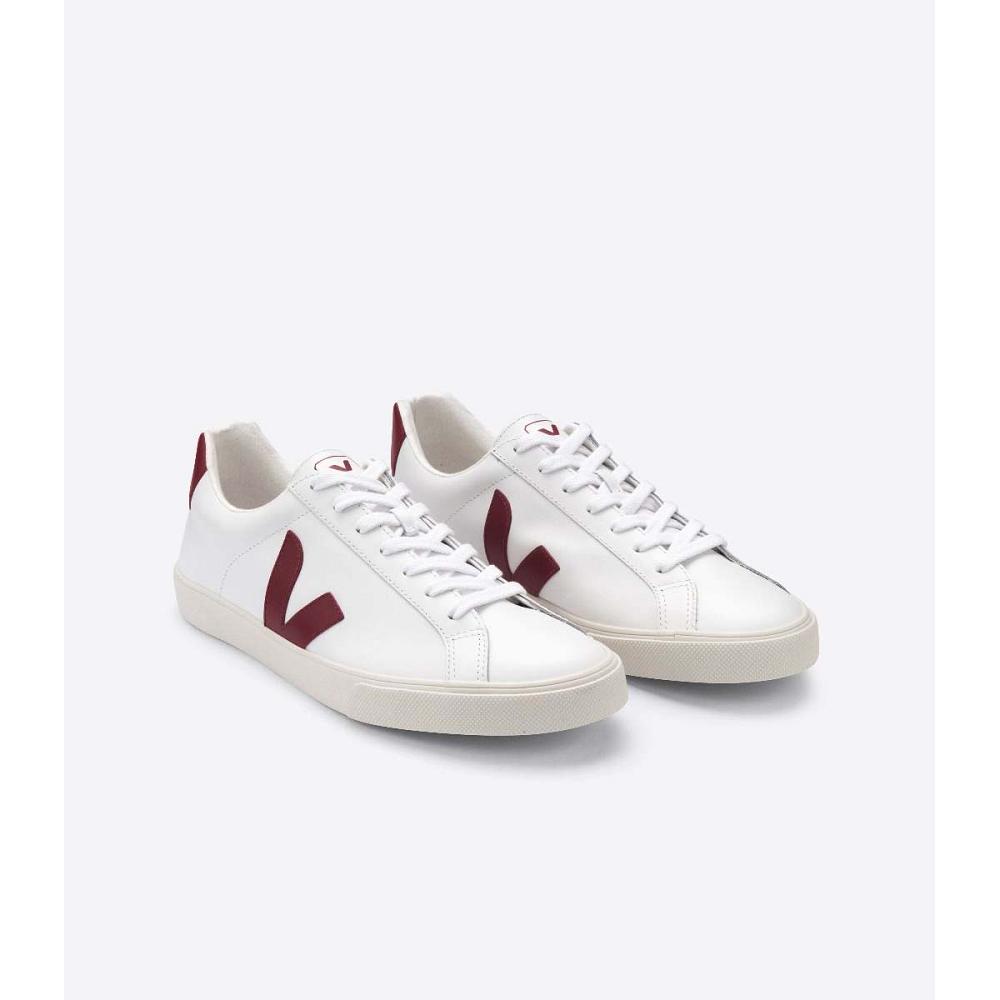 White/Red Women's Veja ESPLAR LEATHER Sneakers | AU 620JPQ